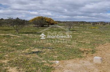 Un lot de terrain de 500 m² à vendre à 50 MD à Hammamet Sud 51355351