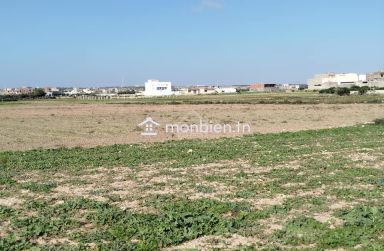 Un terrain de 669 m² à Maamoura à vendre 51355351