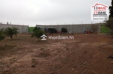 Terrain agricole Agrumia à vendre à Mjez El Beb