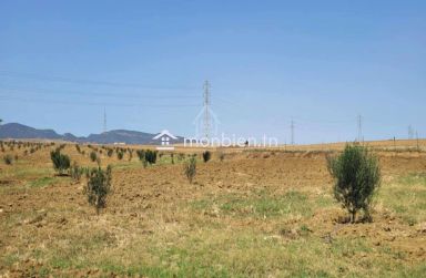 Terrain de 6.5 hectares avec une maison à vendre 51355351