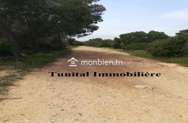 La marsa jbal khaoui  A vendre terrain vue panoramique