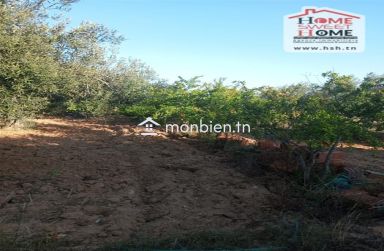 Terrain agricole Ecovera à vendre à Sousse