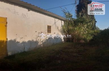 Terrain agricole Oraniva à vendre à Menzel Bouzelfa