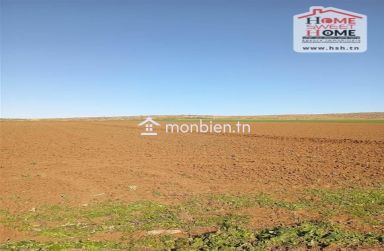 Terrain agricole Fertilia à vendre à Mjez El Beb