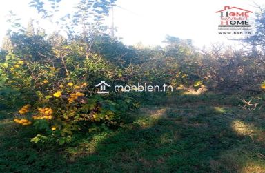 Terrain agricole Oraniva à vendre à Menzel Bouzelfa