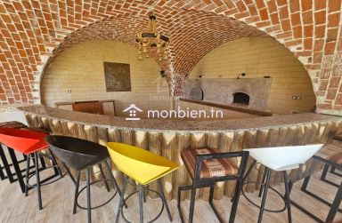 Une grande propriété à vendre à Hammamet Sud 51355351