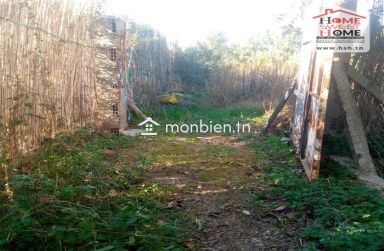 Terrain agricole Olivora à vendre à Menzel Bouzelfa