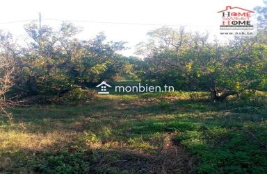 Terrain agricole Oraniva à vendre à Menzel Bouzelfa