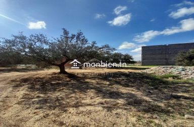 Un terrain de 200 m² sur la route principale à Hammamet Sud 51355351