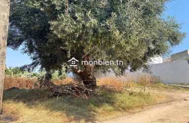 Lot de terrain de 250 m² à Hammamet à vendre 51355351