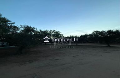 Terrain de 500 m² à daroufaa à vendre 51355351