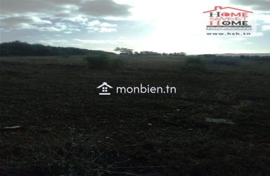 Terrain agricole Solvia à vendre à Borj El Amri