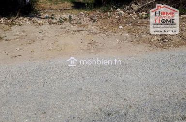 Terrain Agricole Zied à vendre à Nabeul