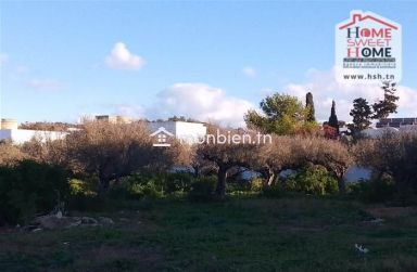 Terrain villa Avira à vendre à Gammarth forêt