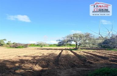 Terrain agricole Silva à vendre à Hammam Ghezèze