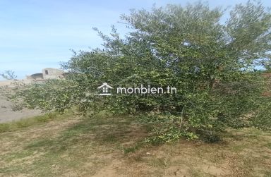 Terrain avec studio à Birbouragba à vendre à 80 MD 51355351