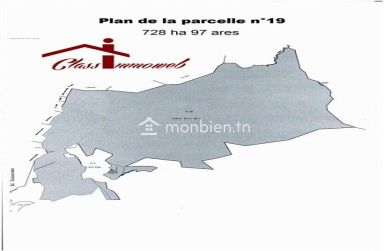 Terrain agricole de 730 ha à 5000 TND le ha