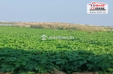 Terrain Agricole Toris à Vendre à Hammem Ghzez