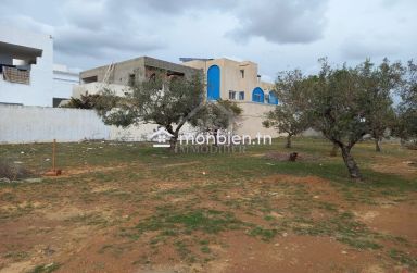 Terrain de 250 m² à Hammamet Nord à vendre 51355351