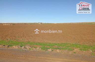 Terrain agricole Fertilia à vendre à Mjez El Beb