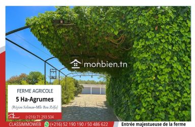 Terrain Agricole d’agrumes de 5 ha