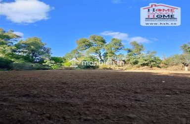 Terrain agricole Silva à vendre à Hammam Ghezèze