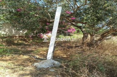 Terrain de 300 m² à Hammamet Sud à vendre 51355351