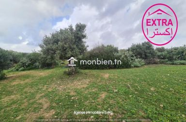 Vente Campagne à Somaa