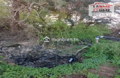 Terrain agricole Silva à vendre à Hammam Ghezèze