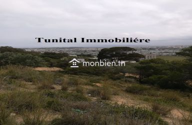 La marsa jbal khaoui  A vendre terrain vue panoramique