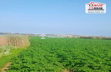 Terrain Agricole Toris à Vendre à Hammem Ghzez
