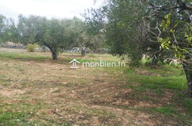 Terrain de 850 m² à vendre à Hammamet Sud 51355351