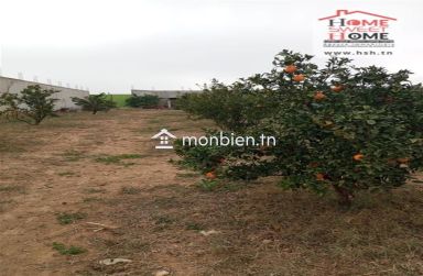 Terrain agricole Agrumia à vendre à Mjez El Beb