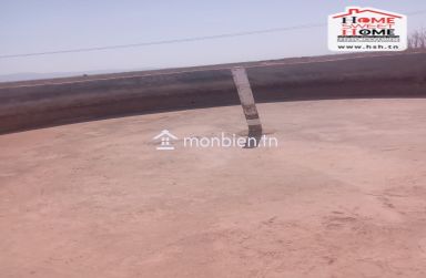 Terrain Agricole Pinova à Vendre à Gafsa
