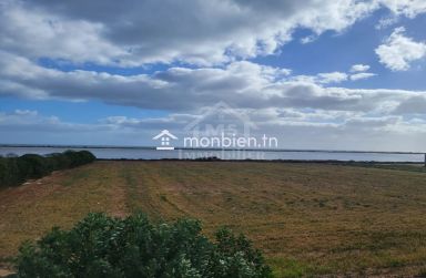 Terrain pieds dans l'eau de 3333 m² à  korba à vendre à 430 MD 51355351