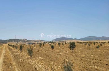 Terrain de 6.5 hectares avec une maison à vendre 51355351