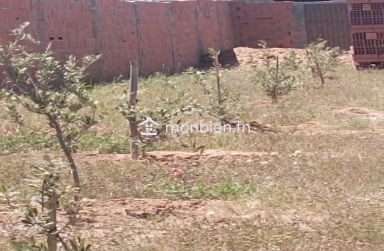 Terrain avec studio à Birbouragba à vendre à 85 MD 51355351