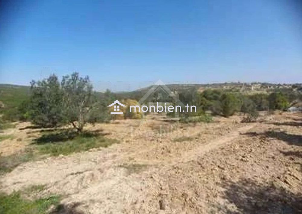 Terrain de 1316 m² à vendre à 70 MD à Hammamet Sud 51355351