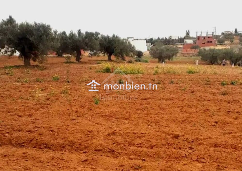 Terrain à vendre à 200 dt/m² à Hammamet Sud 51355351