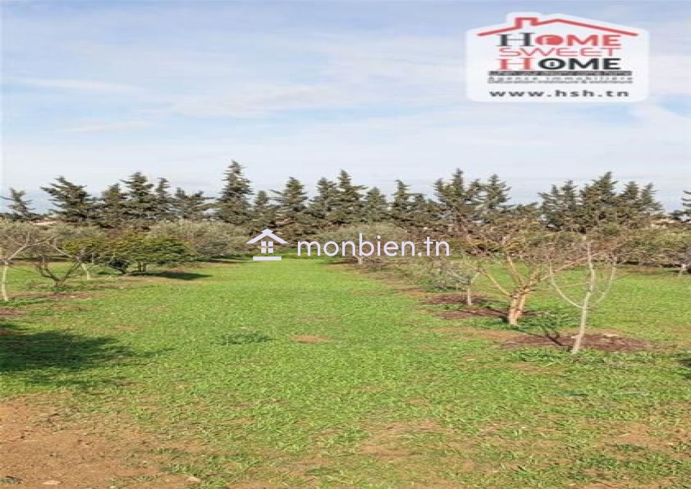 Terrain agricole Nectar à vendre à Mornaguia