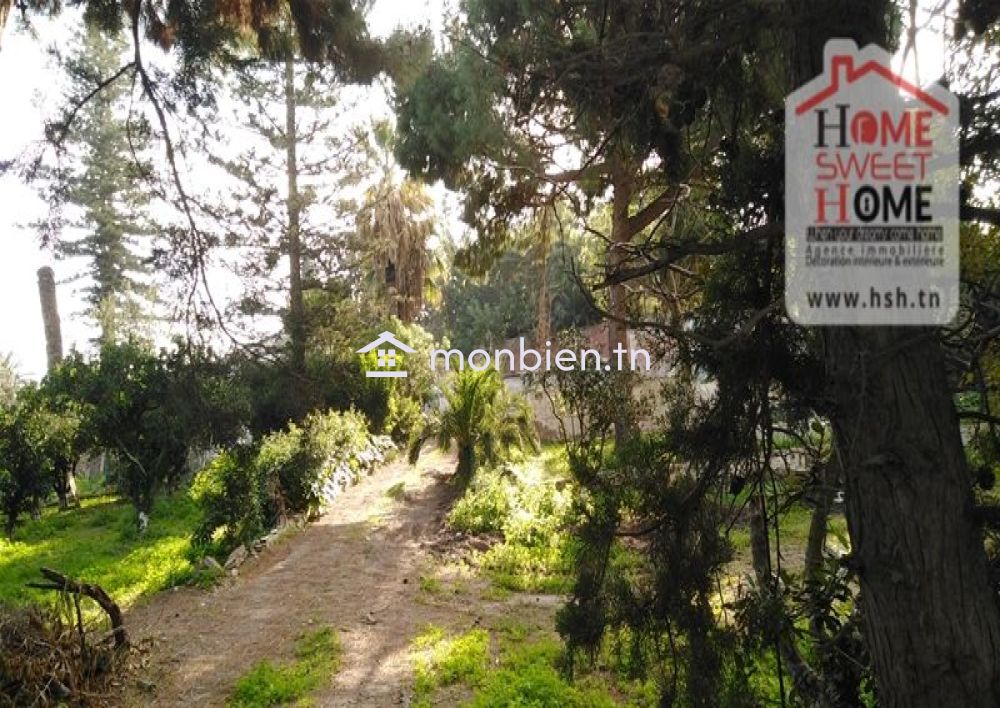 Terrain Villa Tanit à Vendre à Carthage