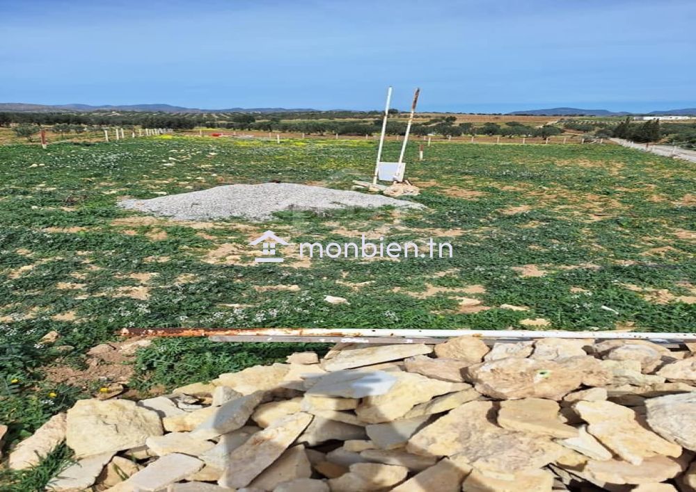 Terrain de 2851 m² à Hammamet Sud à vendre à 185 MD 51355351