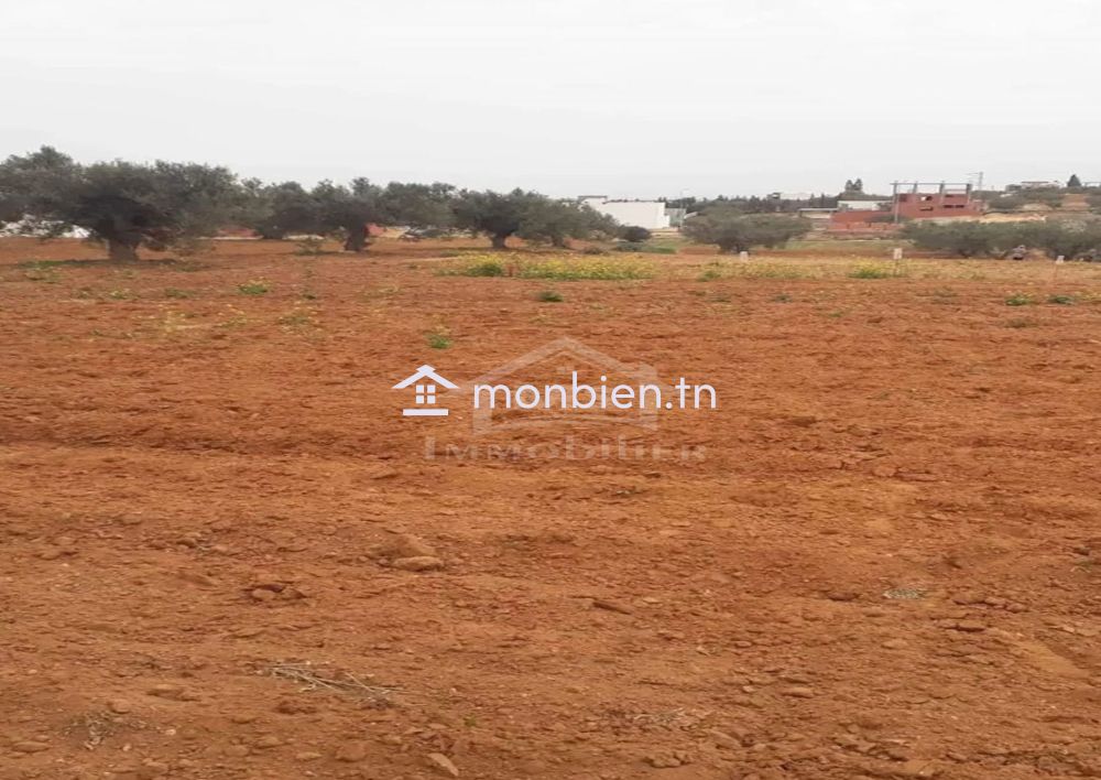 Terrain de 1000 m² à vendre à 200 MD à Hammamet Sud 51355351