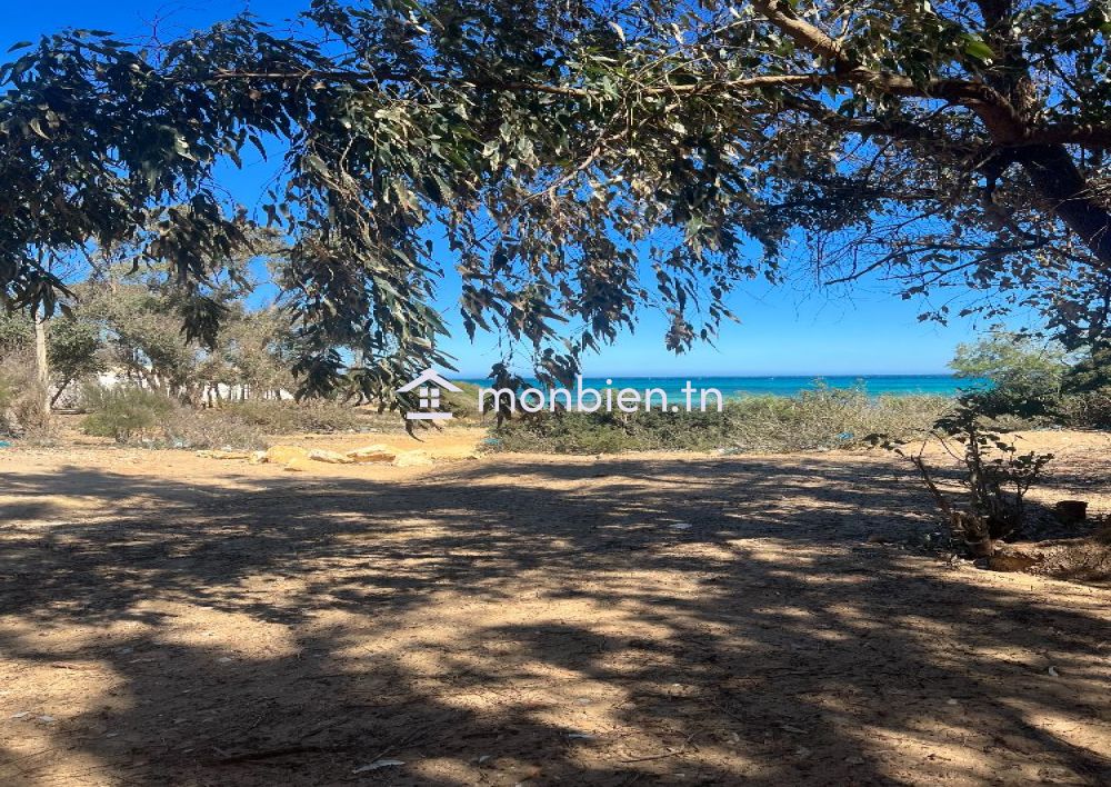 occasion d'investissement au cap bon