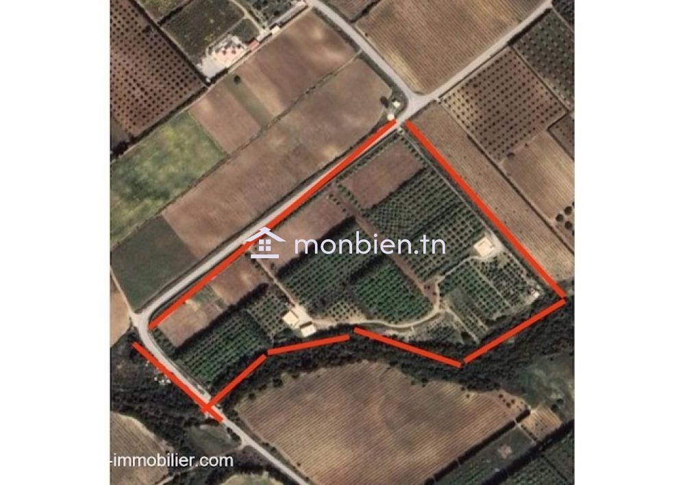 Ferme Hela T1227 Nabeul