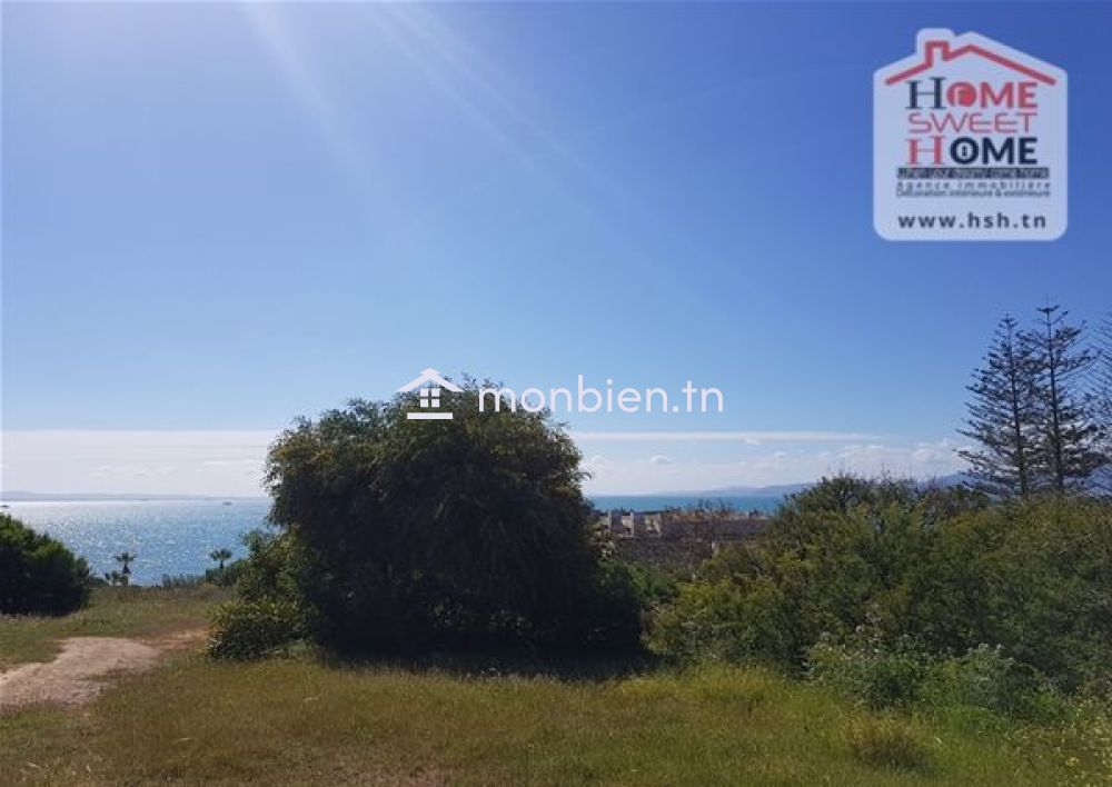 Terrain Porto rico à Vendre à  Amilcar