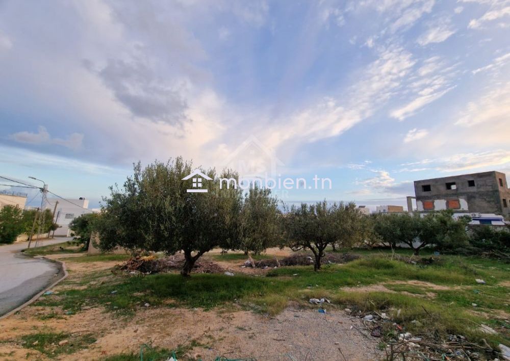 Terrain vue de mer de 1122 m² à vendre à Hammamet Nord 51355351