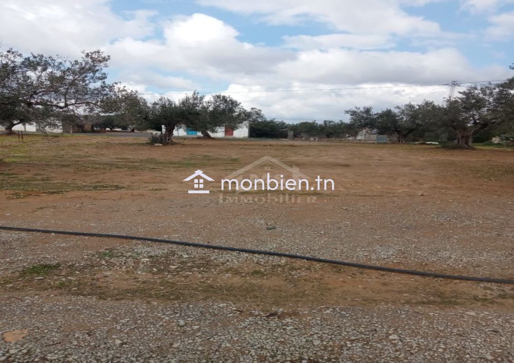 Lot de terrain de 200 m² à Hammamet Sud à vendre 51355351