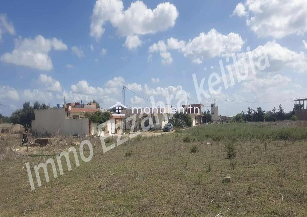Des lots de terrain  a vendre à kelibia