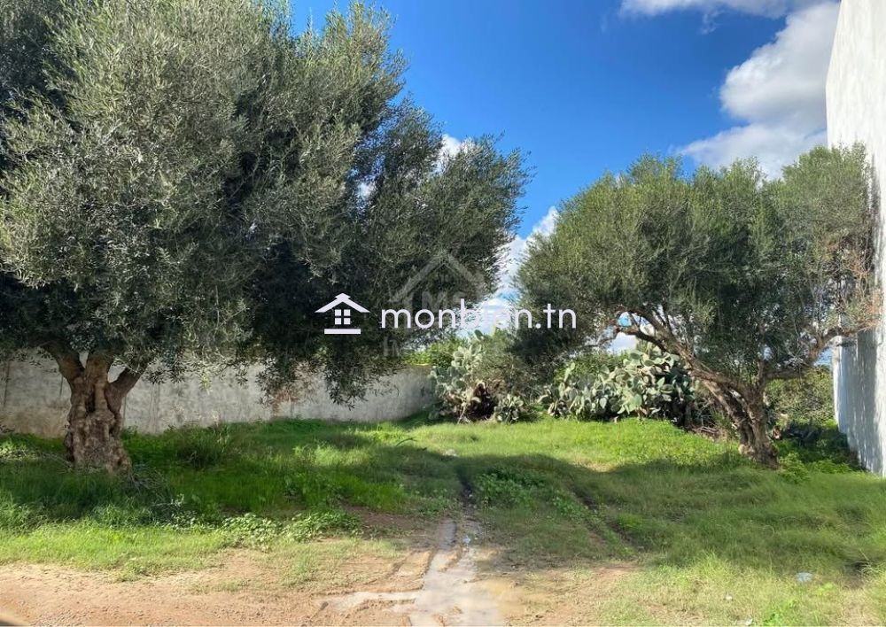 Lot de terrain de 250 m² à Hammamet à vendre 51355351